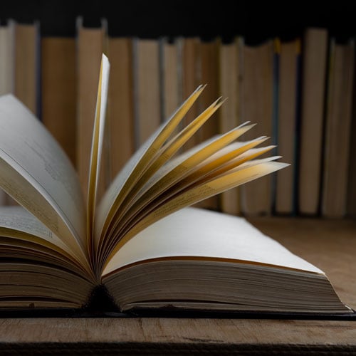 One-on-One Chavruta Learning